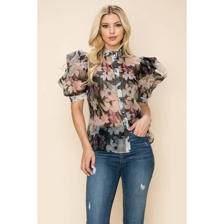 Organz Sheer Puff Sleeves Blouse