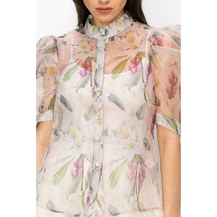 Organz Sheer Puff Sleeves Blouse