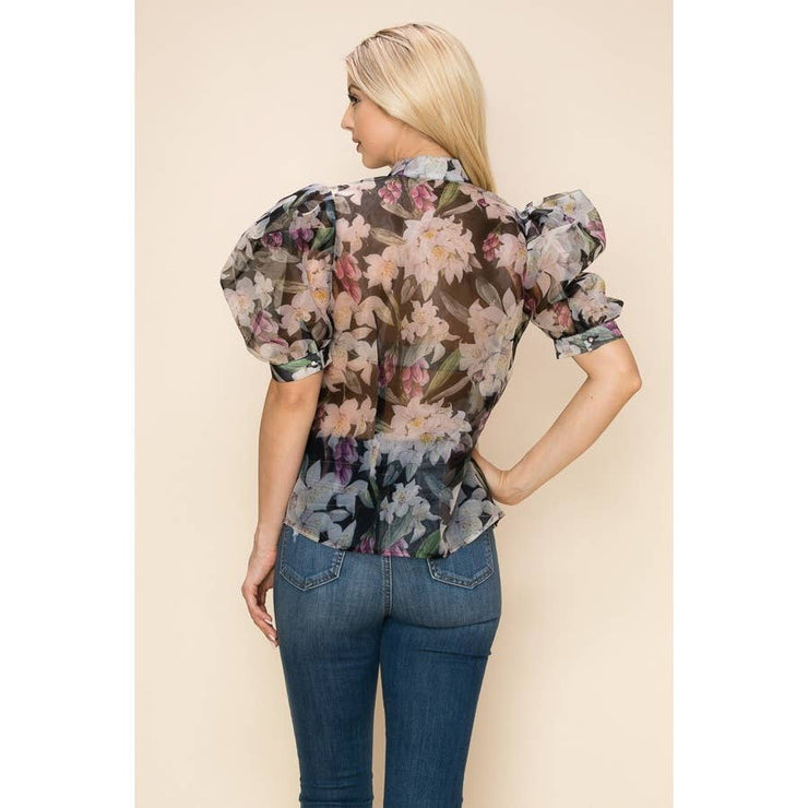 Organz Sheer Puff Sleeves Blouse