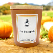 Southern Lights Fall Collection
