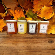 Southern Lights Fall Collection