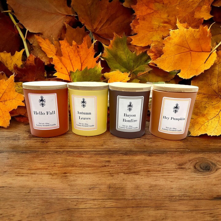 Southern Lights Fall Collection
