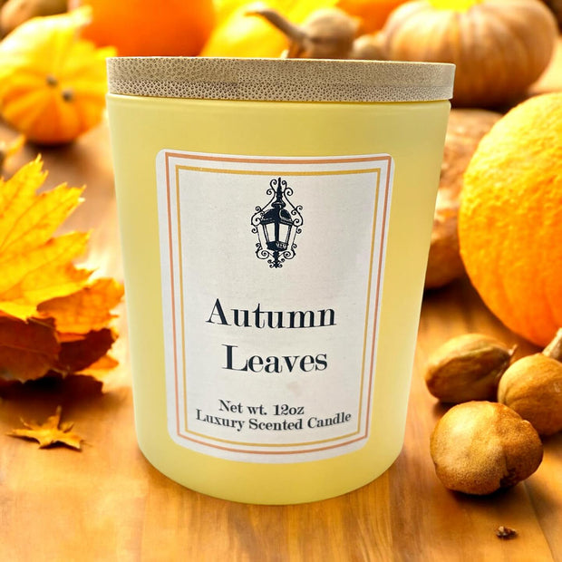 Southern Lights Fall Collection