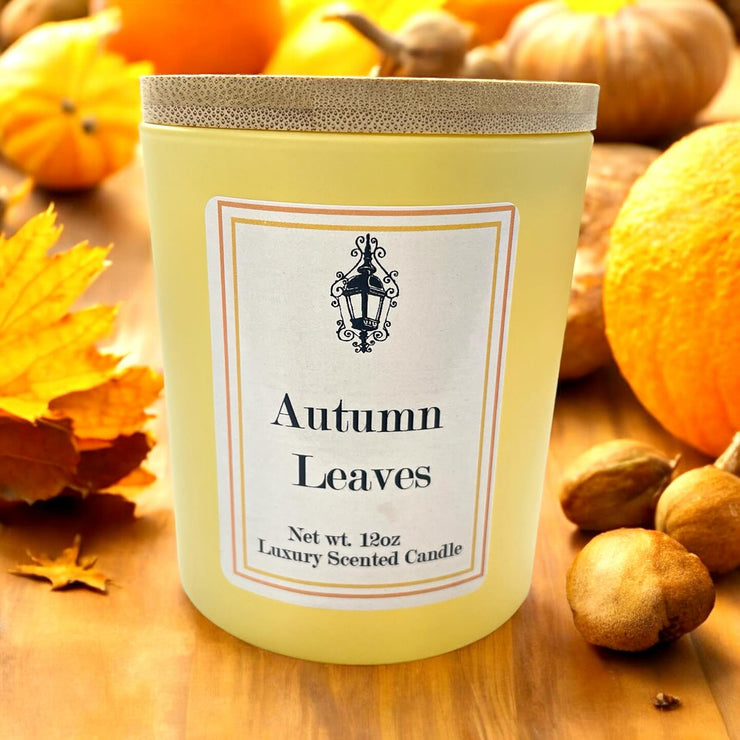 Southern Lights Fall Collection