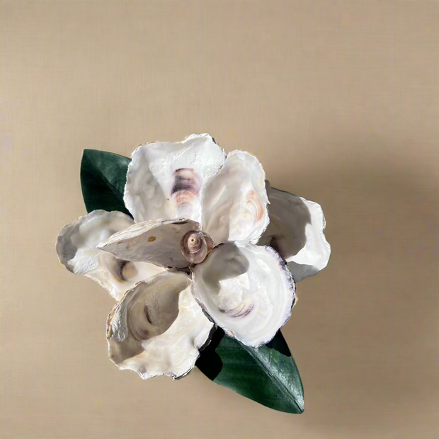 Oyster Shell Magnolia