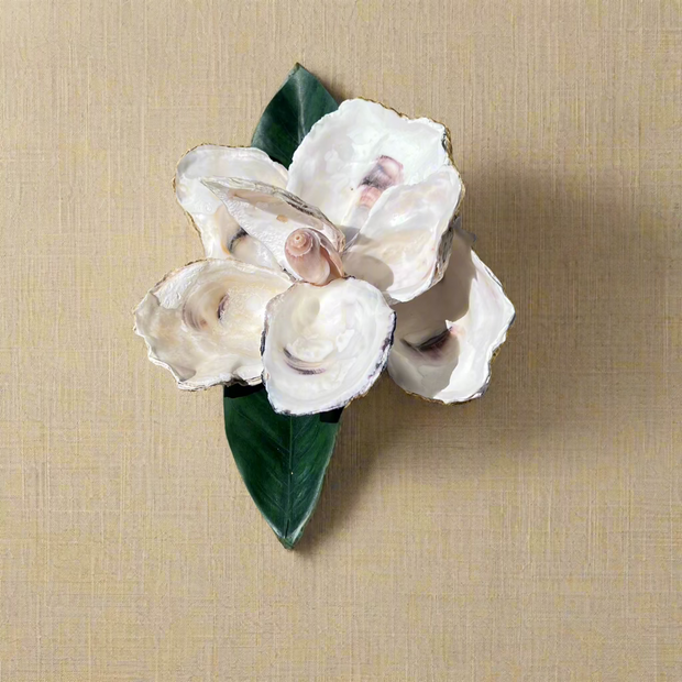Oyster Shell Magnolia
