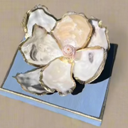 Oyster Shell Magnolia