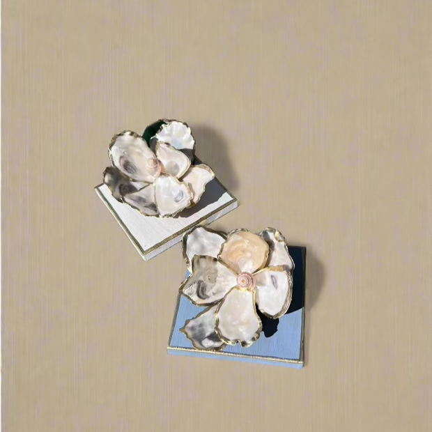 Oyster Shell Magnolia