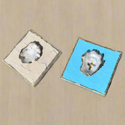 Oyster Shell Canvas