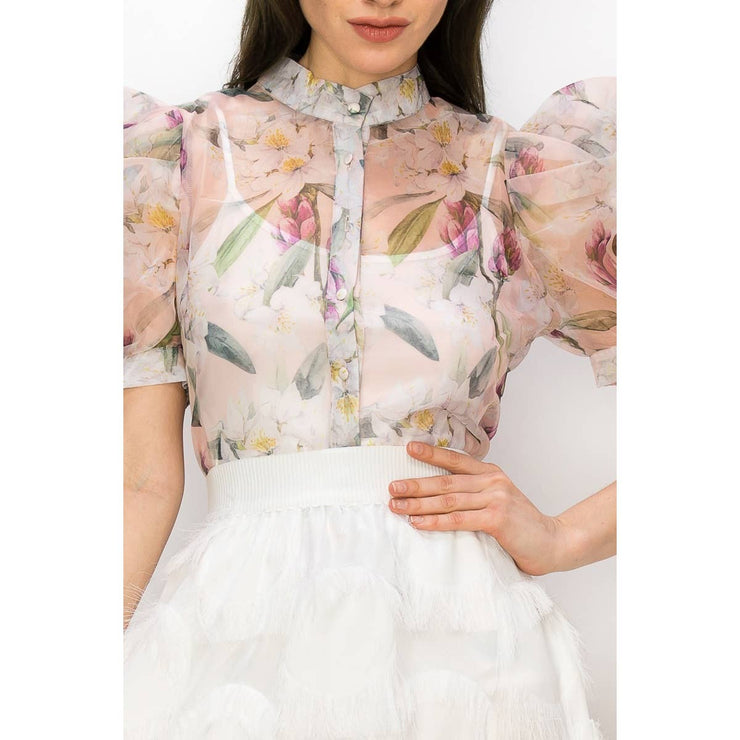 Organz Sheer Puff Sleeves Blouse
