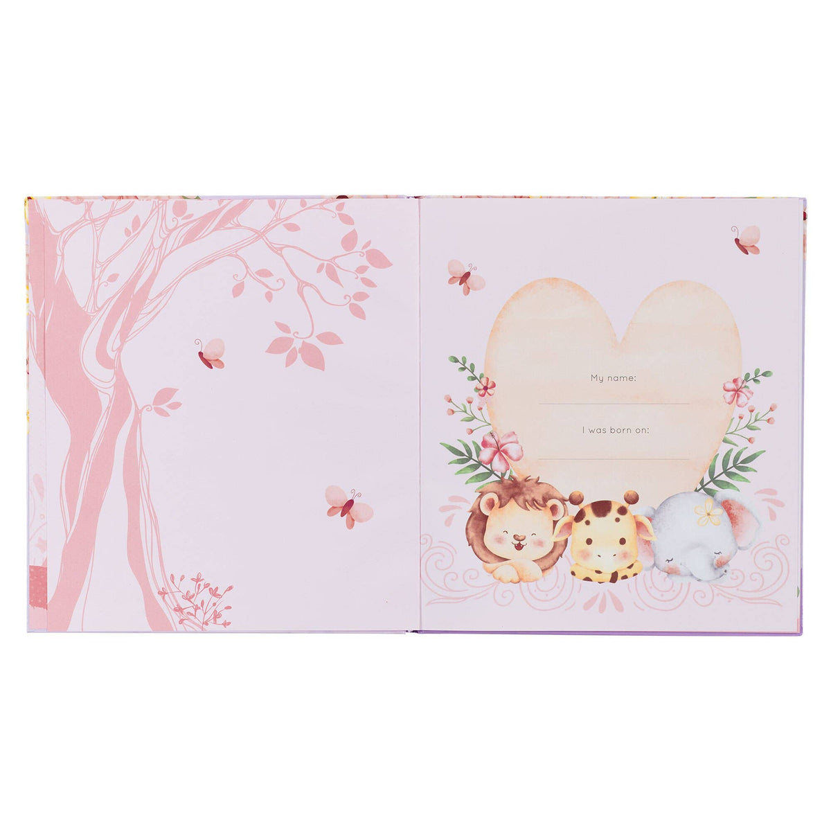 My First Year Memory Book – Baby Girl